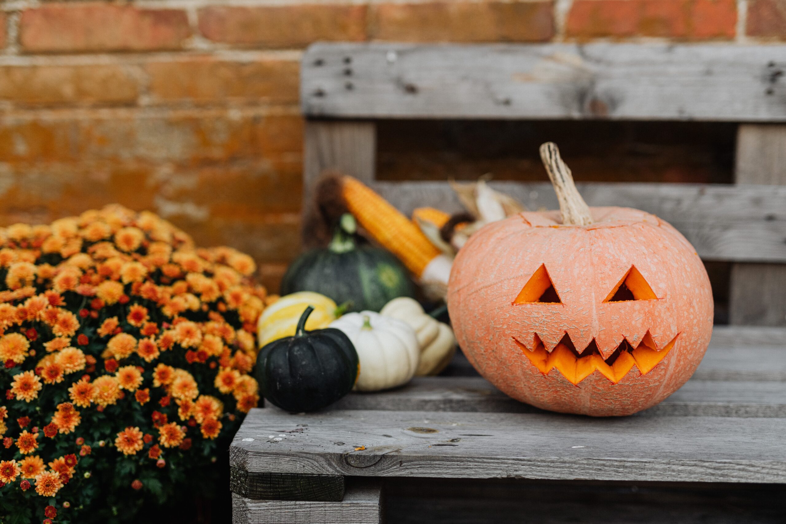 Halloween Decorations on a Bench